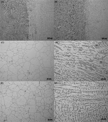 Investigation on Corrosion Resistance of Welded Cu-Bearing 304L Stainless Steel Against Pseudomonas aeruginosa